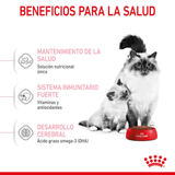 FHN MOTHERANDBABYCAT - BENEFICIOS
